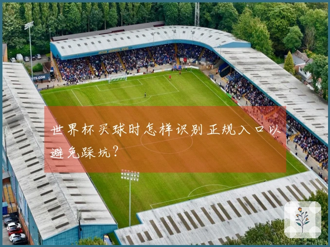 世界杯买球时怎样识别正规入口以避免踩坑？