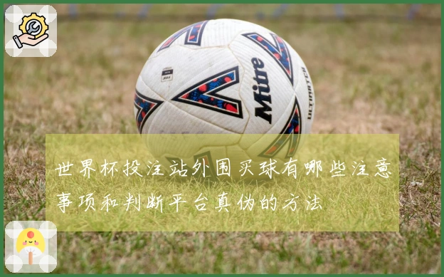 世界杯投注站外围买球有哪些注意事项和判断平台真伪的方法